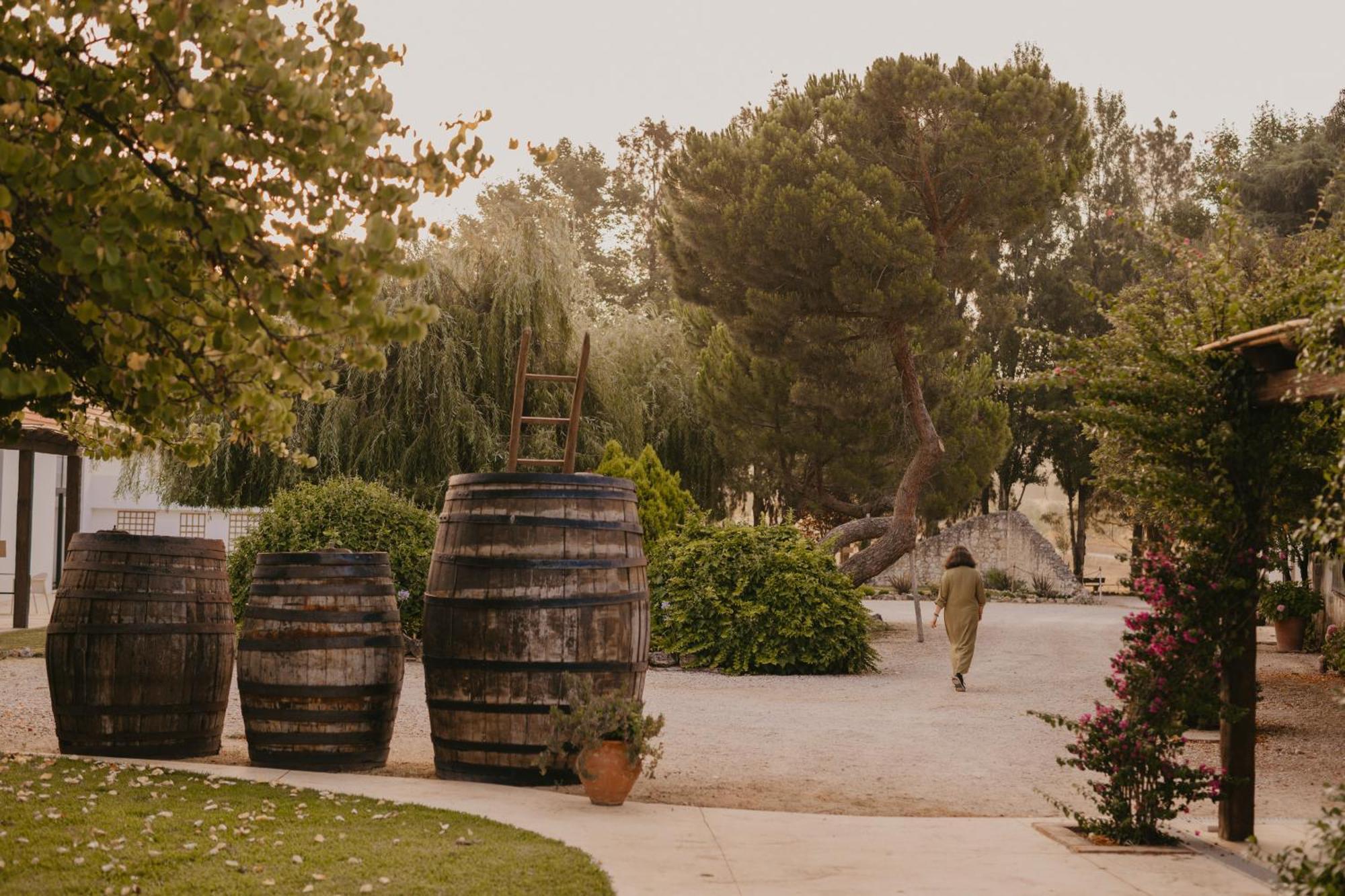 Quinta Carvalhas - The Green Farm Hotell Casevel Eksteriør bilde