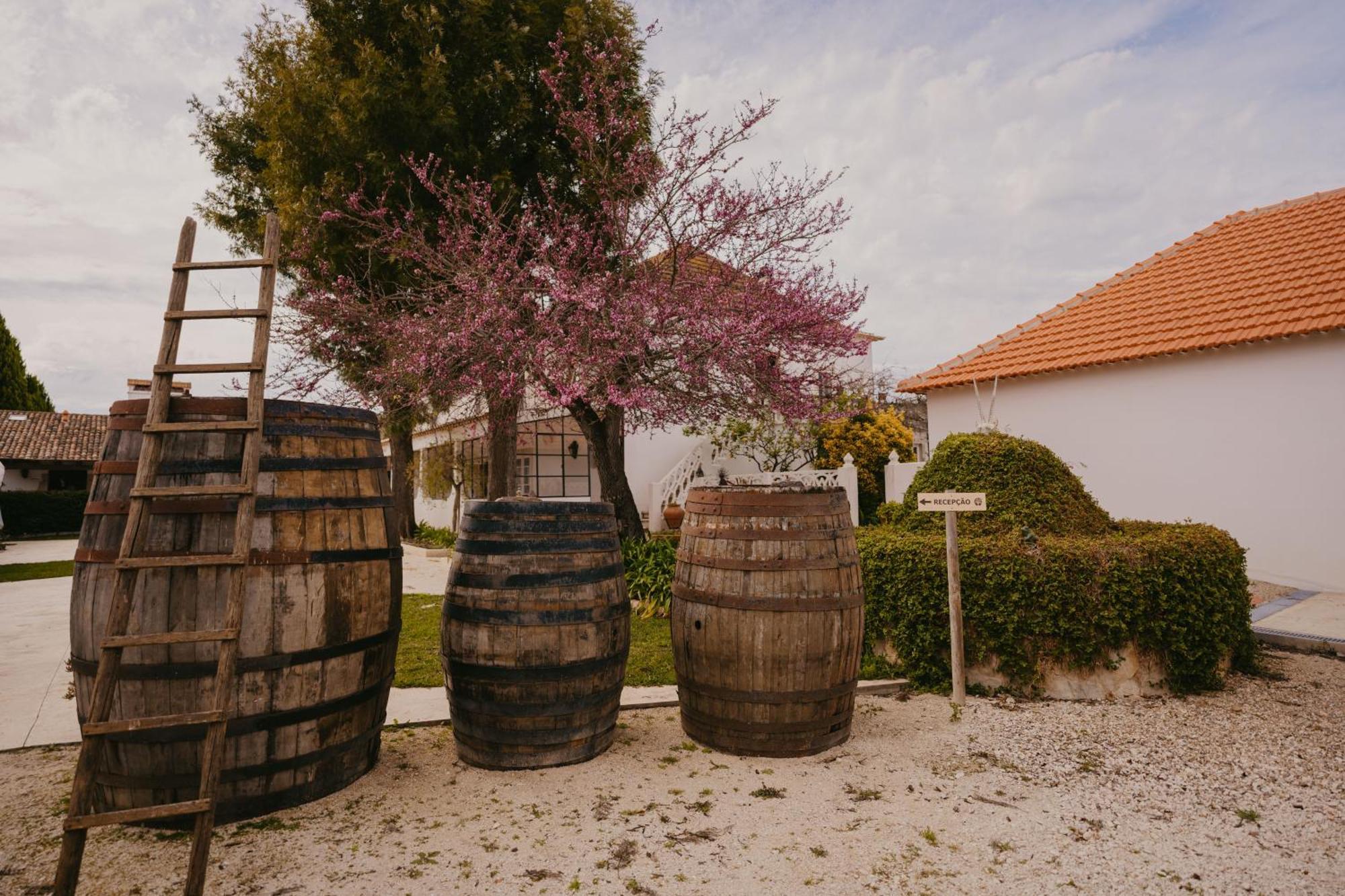Quinta Carvalhas - The Green Farm Hotell Casevel Eksteriør bilde