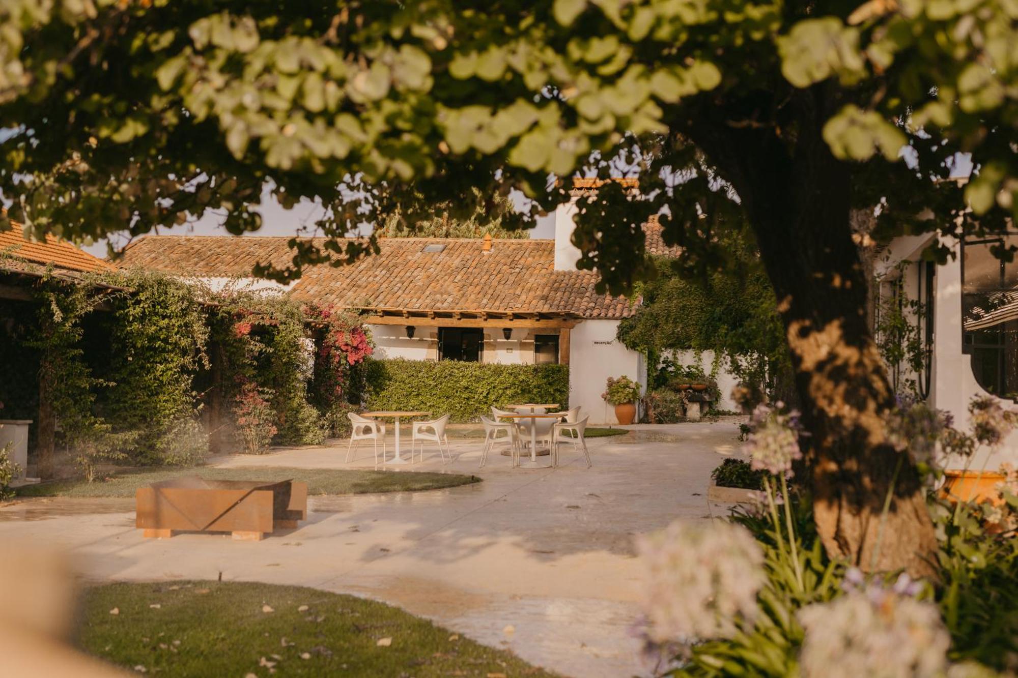 Quinta Carvalhas - The Green Farm Hotell Casevel Eksteriør bilde