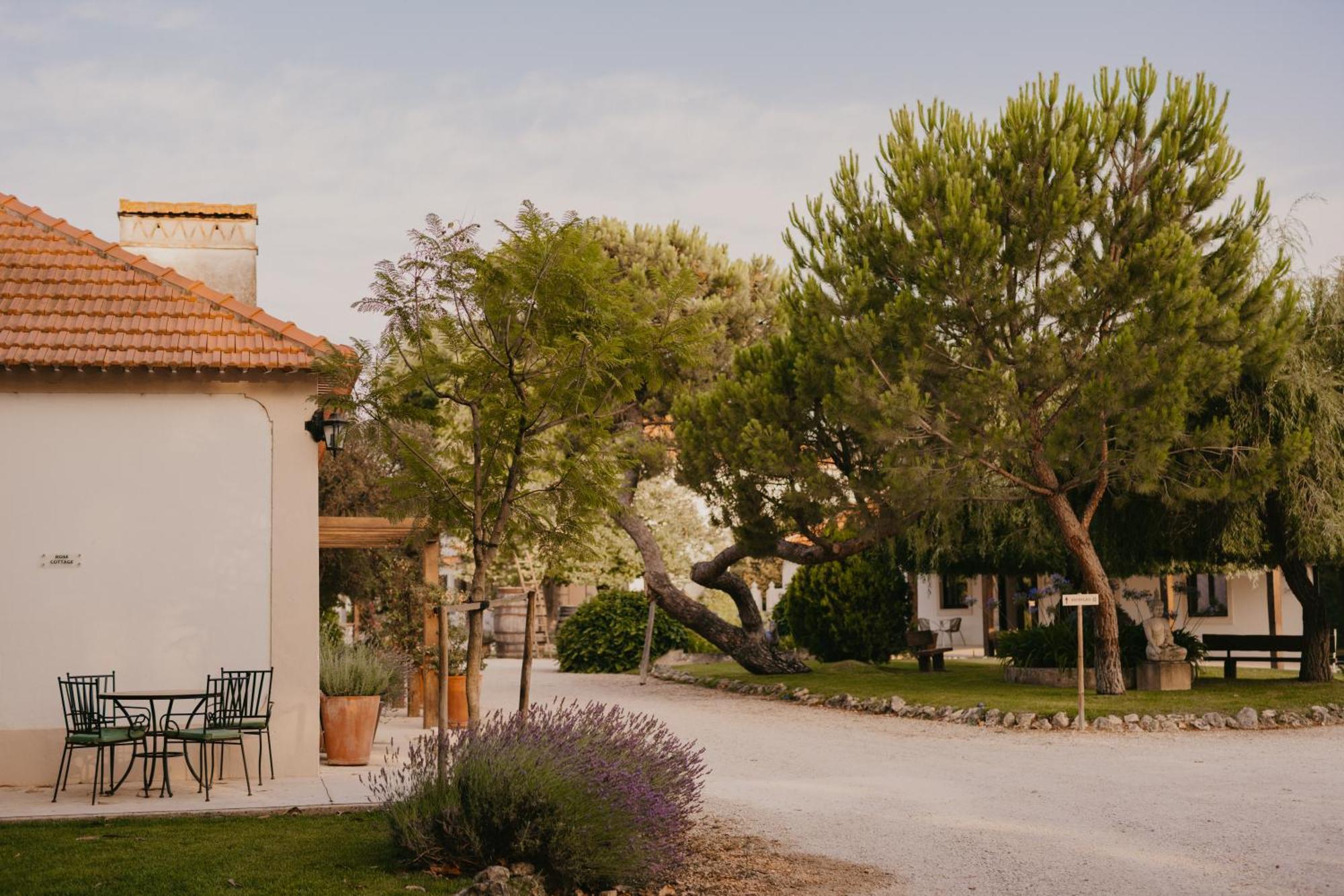 Quinta Carvalhas - The Green Farm Hotell Casevel Eksteriør bilde