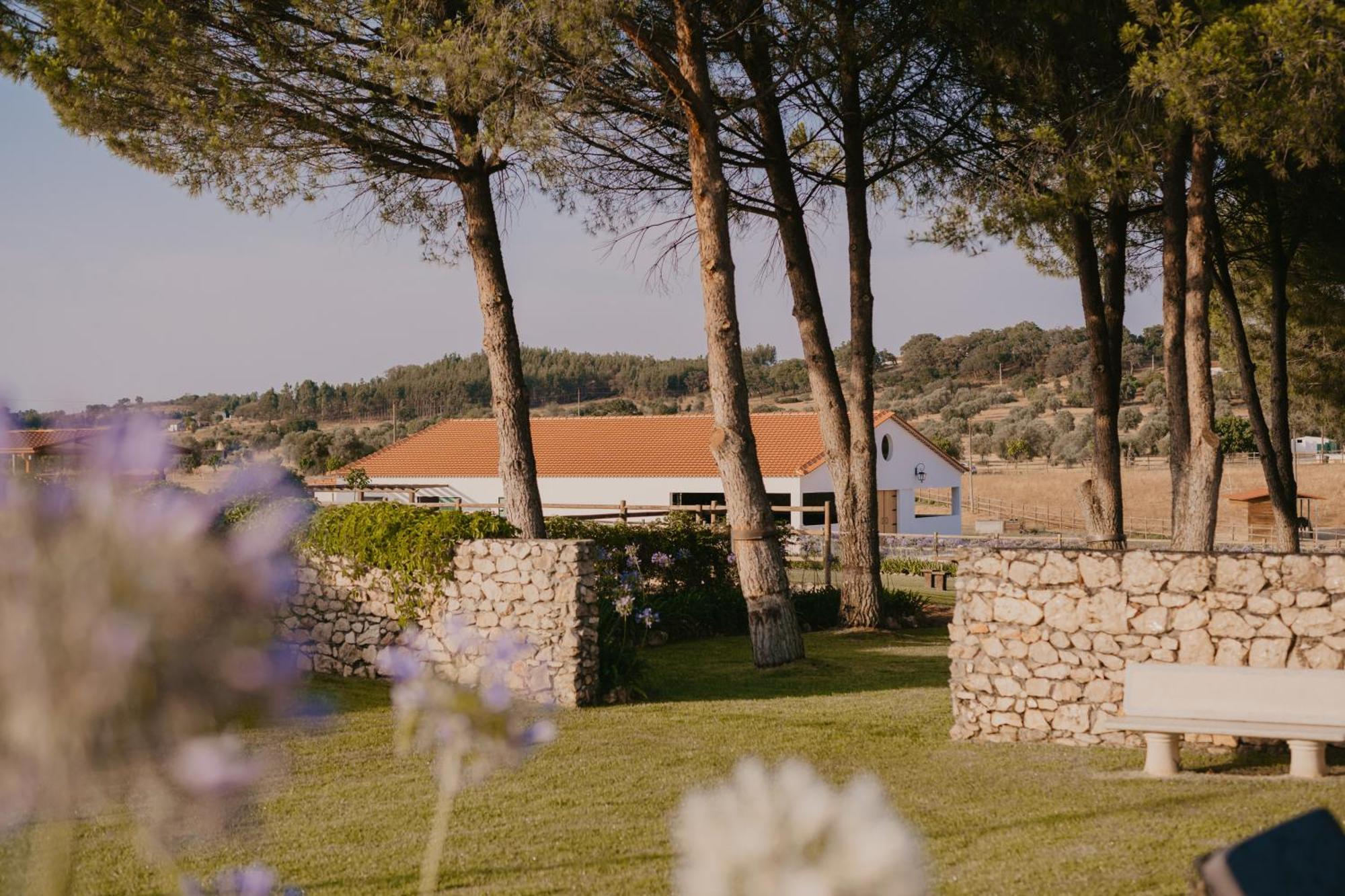 Quinta Carvalhas - The Green Farm Hotell Casevel Eksteriør bilde