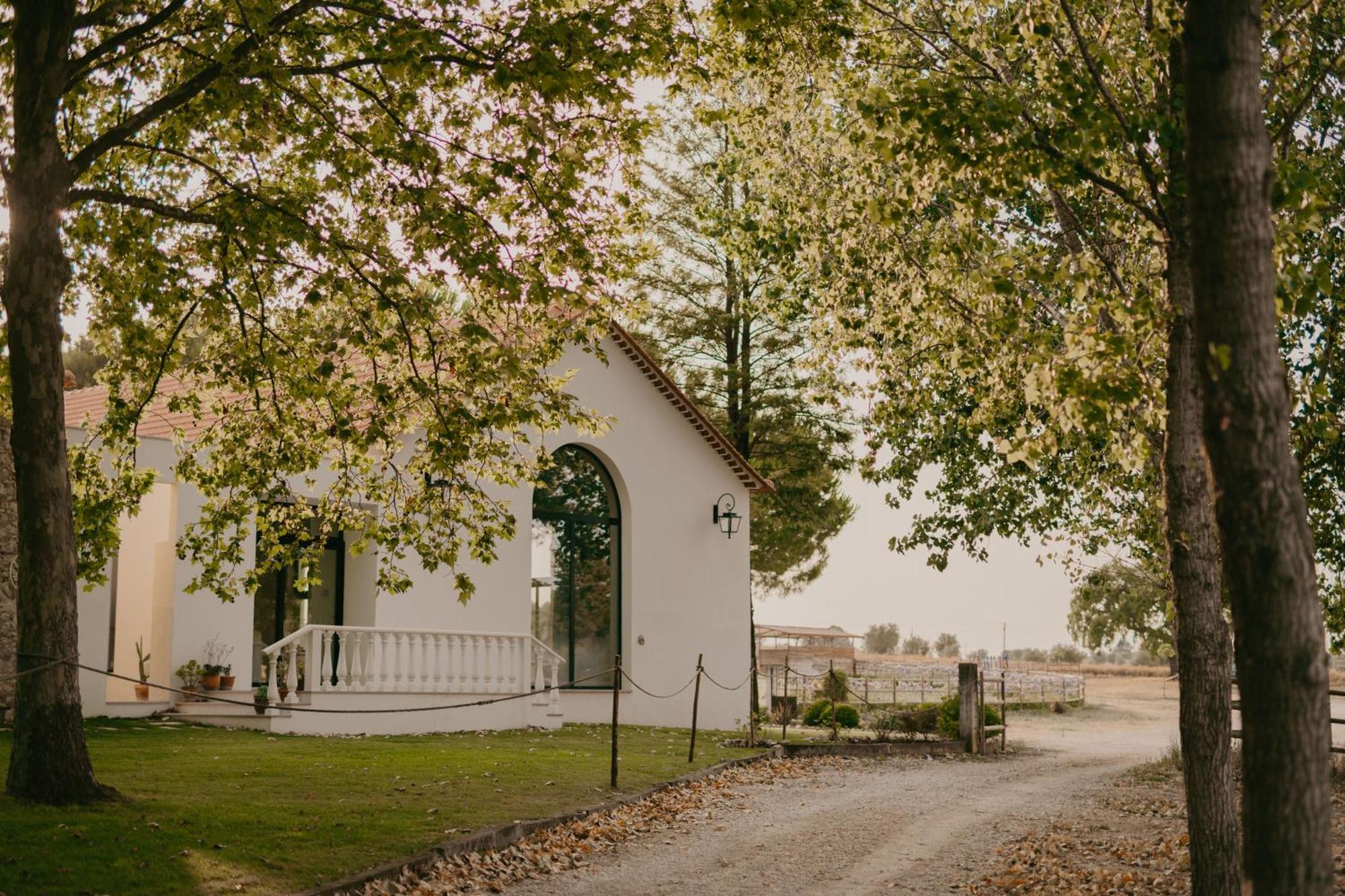 Quinta Carvalhas - The Green Farm Hotell Casevel Eksteriør bilde